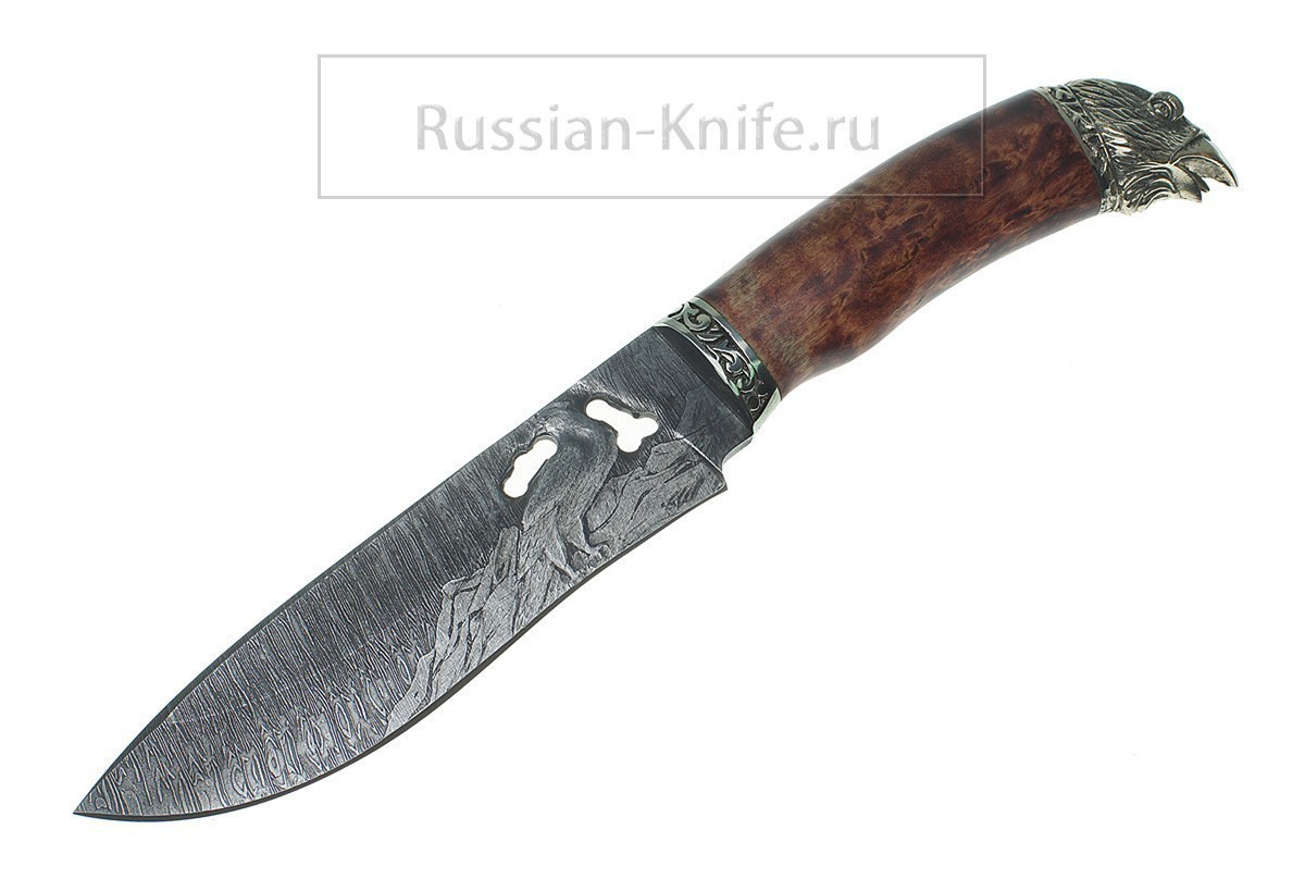 Фотография, картинка, - Дамасский нож Беркут-1