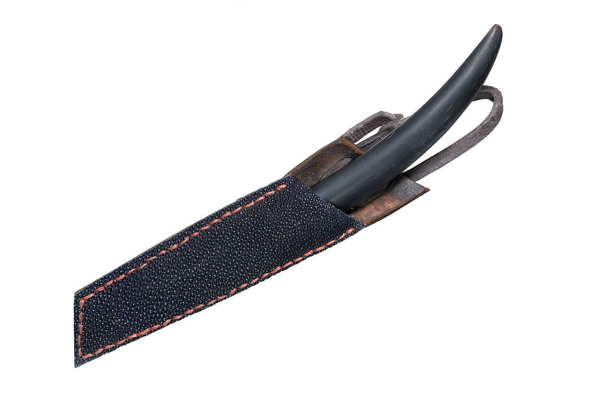 ��� "����" (��������), �. ������, ��� �������, ��� ����