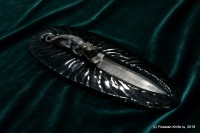 Нож авторский «Ящерица», клинок из слоистого дамасска, Марии Архангельской, без ножен